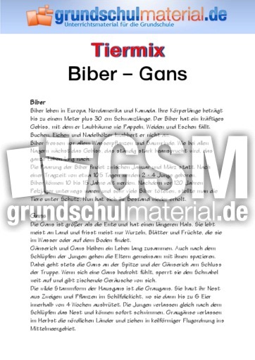 Biber - Gans.pdf